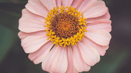 意甲：米兰球员托莫里谈球队即将对阵比萨，队友们在训练中状态都非常好，相信我们有所收获